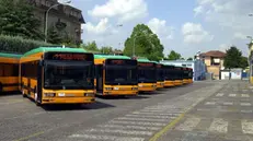 Alcuni autobus di Brescia Trasporti