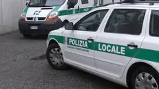 Un’auto della Polizia Locale di Montichiari - © www.giornaledibrescia.it