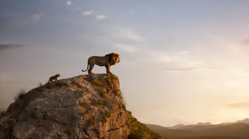 Alcune immagini dal film Il Re Leone