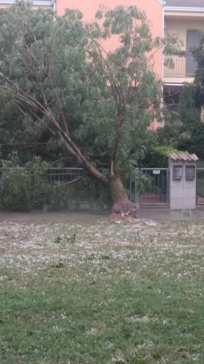 Tempesta sul Bresciano: danni e allagamenti
