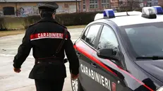 Carabinieri - Foto © www.giornaledibrescia.it
