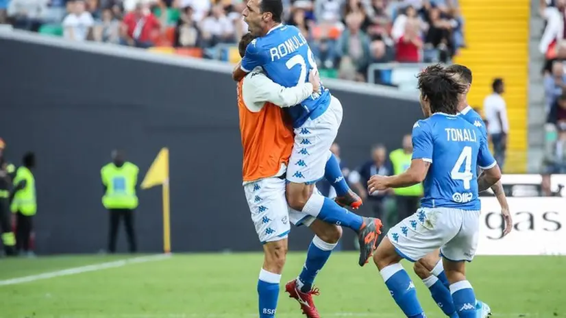 Rondinelle in campo a Udine