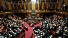 Il Senato - Foto Ansa/Giuseppe Lami © www.giornaledibrescia.it