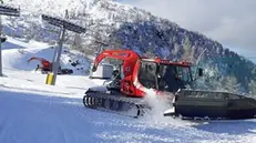 All’opera. I gatti delle nevi al lavoro per preparare le piste del comprensorio dell’Alta Valcamonica
