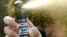 Spray al peperoncino usato per rapinare un ragazzo - © www.giornaledibrescia.it