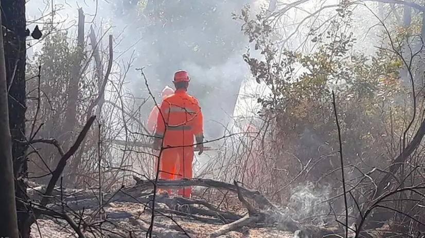 Sterpaglie bruciate tra i boschi dei Campiani: a domare le fiamme il Gruppo Sentieri - © www.giornaledibrescia.it