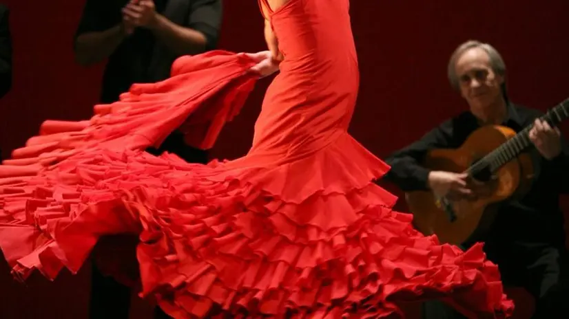 Flamenco (immagine simbolica) - © www.giornaledibrescia.it