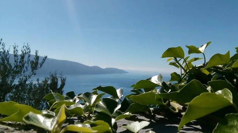 Panorami mozzafiato: il Garda visto dai «Sentieri del tempo»