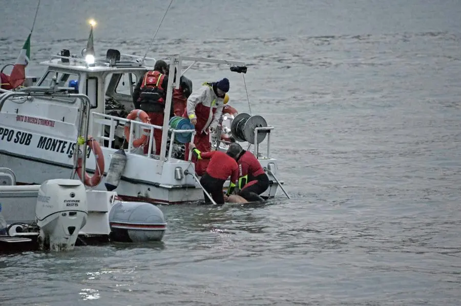 Le immagini della tragedia