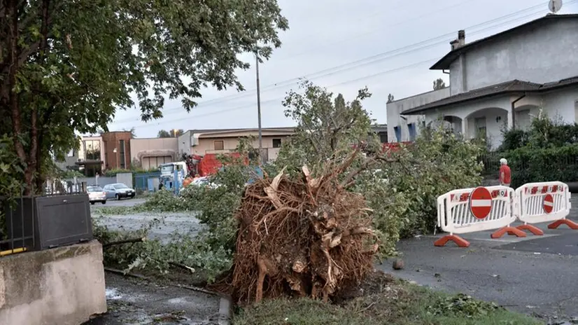 I danni del maltempo a Brescia e nell'hinterland