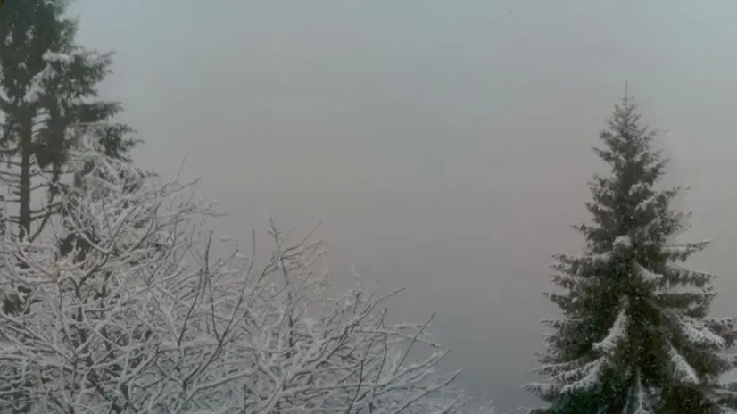 Nevica in provincia, le webcam
