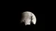 I vostri scatti dell'eclissi parziale di Luna