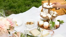 Pic nic in bianco a Concesio