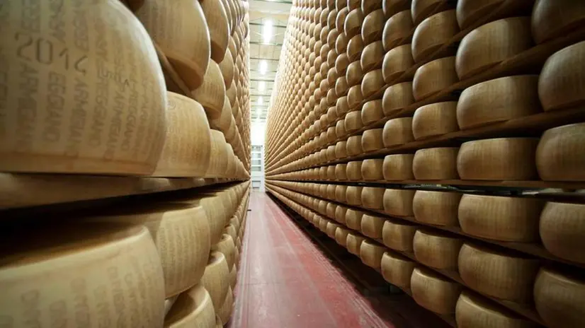 Parmigiano Reggiano - © www.giornaledibrescia.it