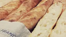 Profumato e genuino. Il pane d’antan è tornato di moda