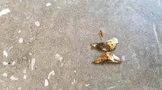 I frammenti luccicanti sul fondo del lavatoio - © www.giornaledibrescia.it