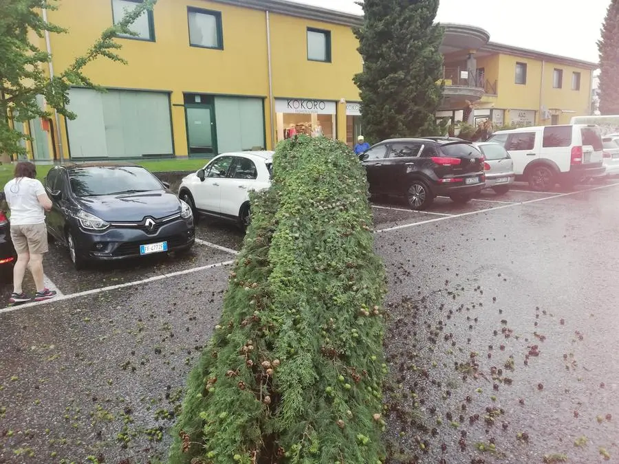 Chicchi di grandine, alberi caduti e tetti scoperchiati nel Bresciano