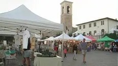 Una vecchia edizione della festa Bio di Polpenazze - © www.giornaledibrescia.it