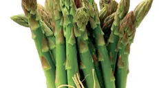 Un mazzetto di asparagi - Foto © www.giornaledibrescia.it