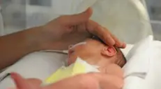 Un neonato ricoverato in un reparto di Terapia intensiva