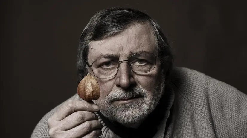 Francesco Guccini - © www.giornaledibrescia.it