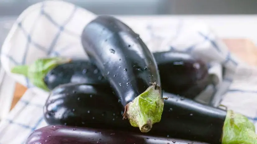 Melanzane, ottime da cucinare anche sottoforma di polpette -© www.giornaledibrescia.it