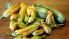 I fiori di zucchina si prestano molto bene a tante ricette estive