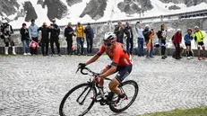 Domenico Pozzovivo durante una tappa del Tour della Svizzera - Foto Ansa/Epa Gian Ehrenzeller © www.giornaledibrescia.it