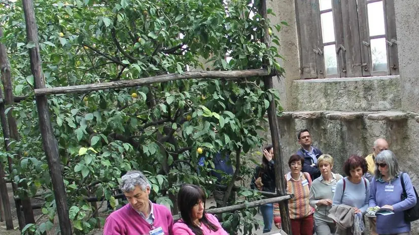 Due giorni dedicati alla limonaia di Prà dé la Fàm