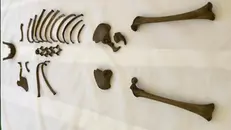 Lo scheletro perfettamente conservato del bimbo di tre anni: manca solo di una porzione di cranio - © www.giornaledibrescia.it