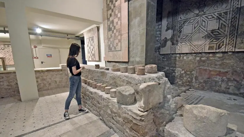 La Domus ariciana