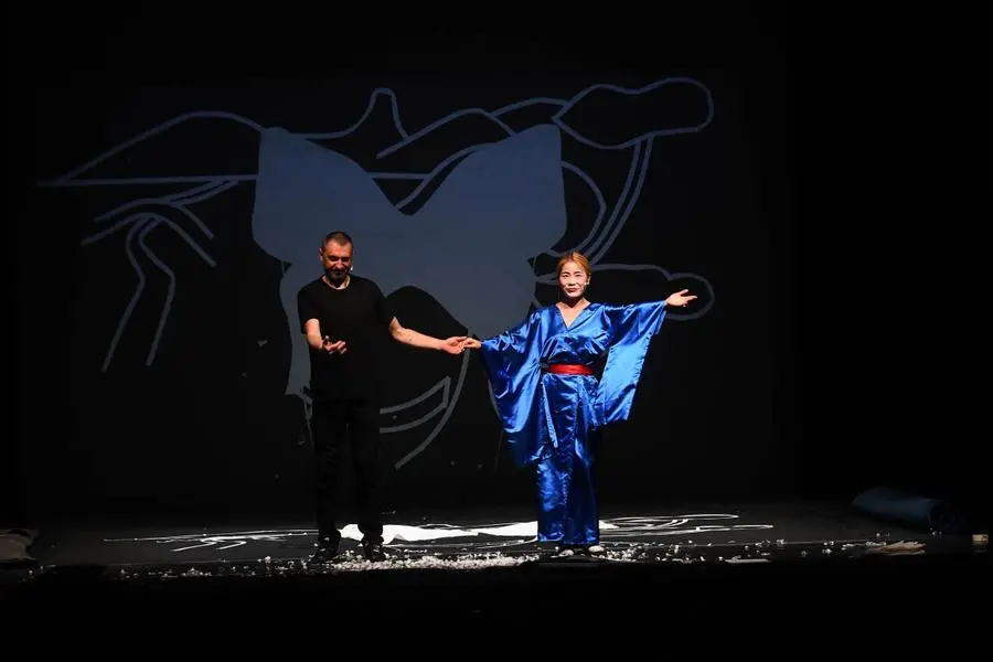 Festa dell'Opera 2019: Butterfly al teatro Mina Mezzadri