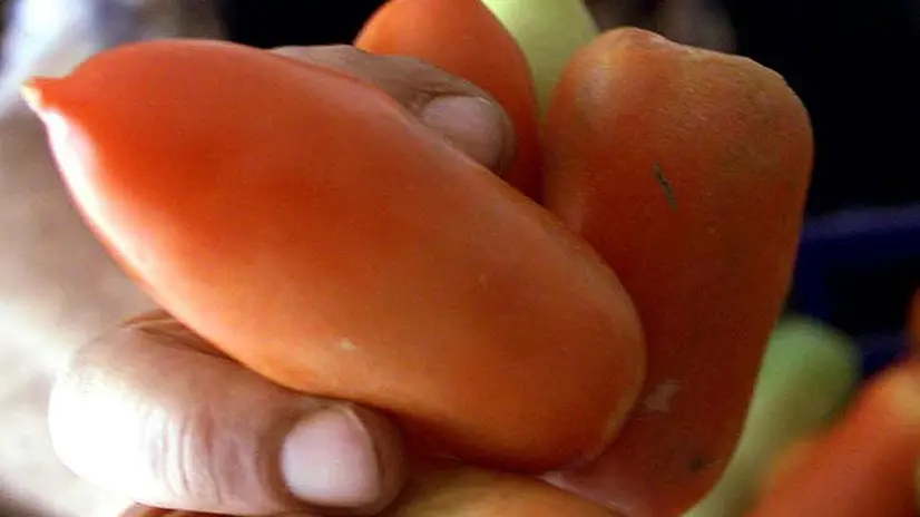 I ladri fingono di vendere frutta e verdura a prezzi stracciati - Foto © www.giornaledibrescia.it