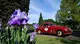 Mille Miglia al Parco Sigurtà