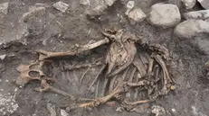 Le sepolture di cavallo risalenti all’età del Ferro a Breno - © www.giornaledibrescia.it