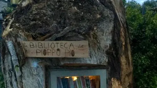 Il pioppo Pio rinasce ospitando libri in diverse lingue