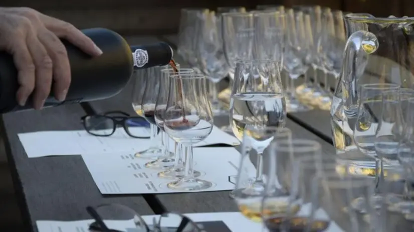 Degustazioni e visite guidate