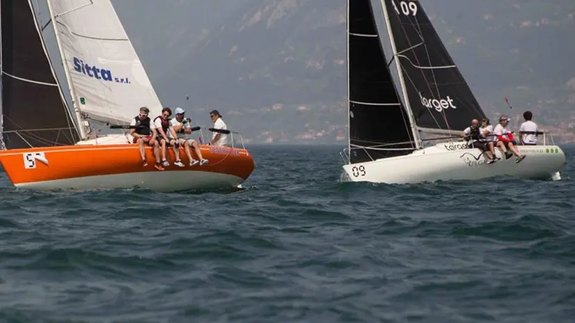 Protagonist, 22° Campionato Italiano