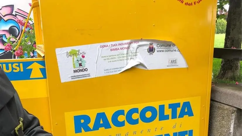 Il micio trovato dai Vigili del fuoco a Calcinato