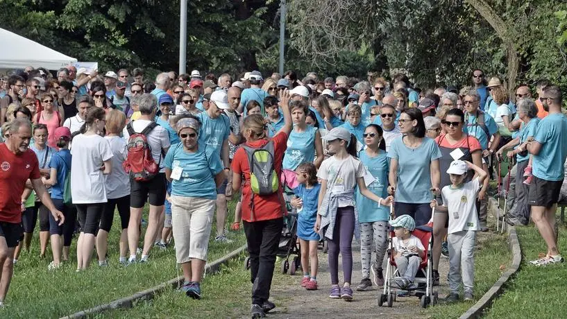 Pronti, via. Anche quest’anno sono proposte camminate per grandi e piccini - © www.giornaledibrescia.it