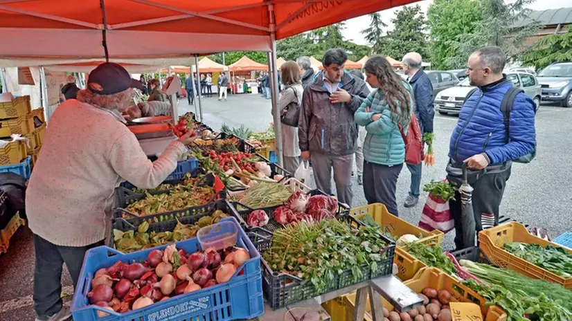 Mercato contadino in via Sardegna