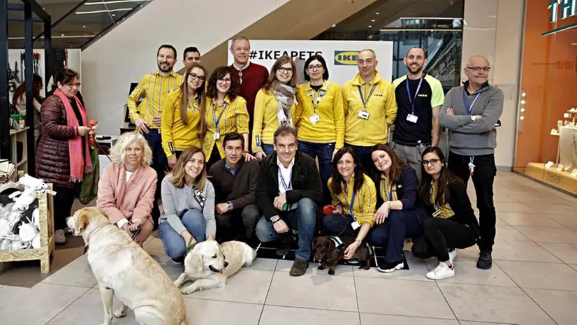 Foto di gruppo in Ikea - Foto © www.giornaledibrescia.it