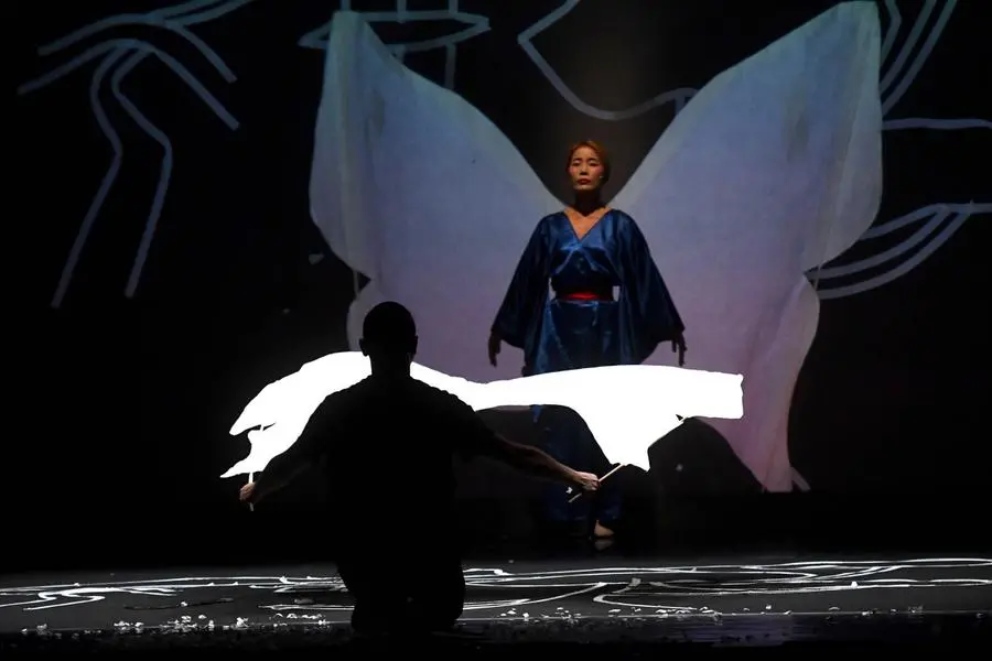 Festa dell'Opera 2019: Butterfly al teatro Mina Mezzadri