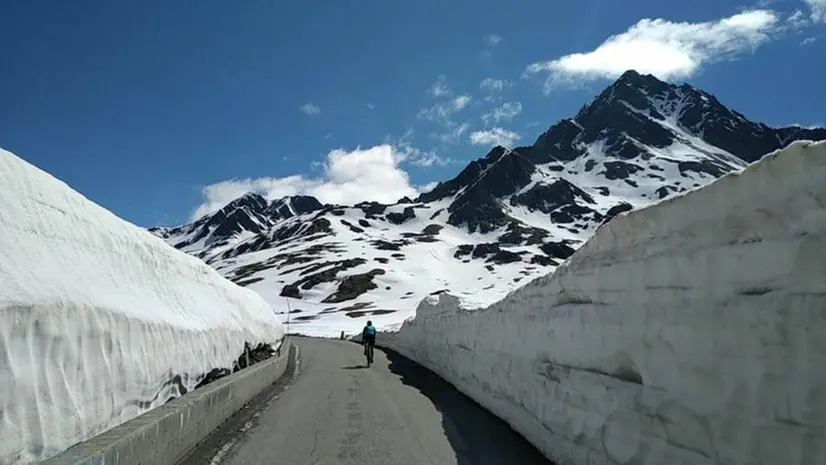 Ciclisti tra la neve al passo Gavia