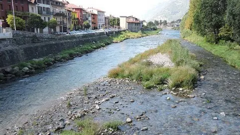 Col passare del tempo sull’isolotto è cresciuta pure la vegetazione