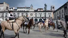Travagliato Cavalli fa tappa in città