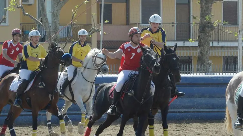 Giornata di festa nella Bassa con Travagliato Cavalli