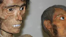 Le «mummie». Alcuni reperti del dott. Rini (1795-1756) © www.giornaledibrescia.it
