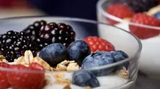 Frutta, yogurt e cereali  © www.giornaledibrescia.it