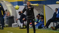 Domenico Toscano, allenatore della FeralpiSalò - Foto New Reporter © www.giornaledibrescia.it